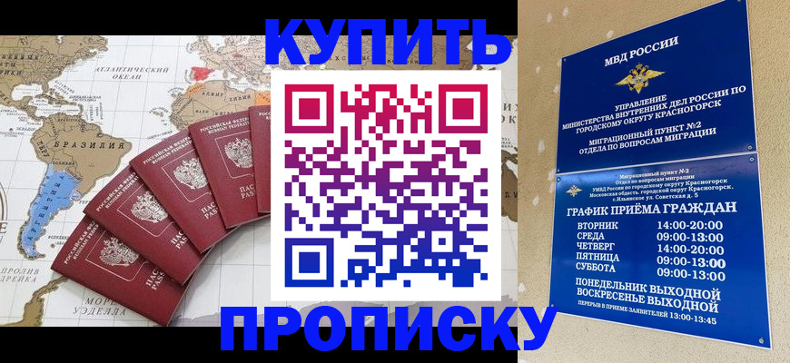 прописка от собственника в Бердске